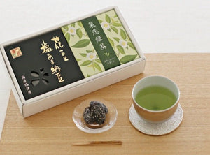 塩あま納豆・菓恋緑茶 ２個箱入ギフト